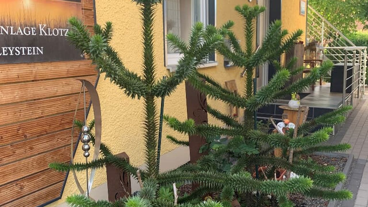 Eingangsbereich_1 Eingangsbereich_1